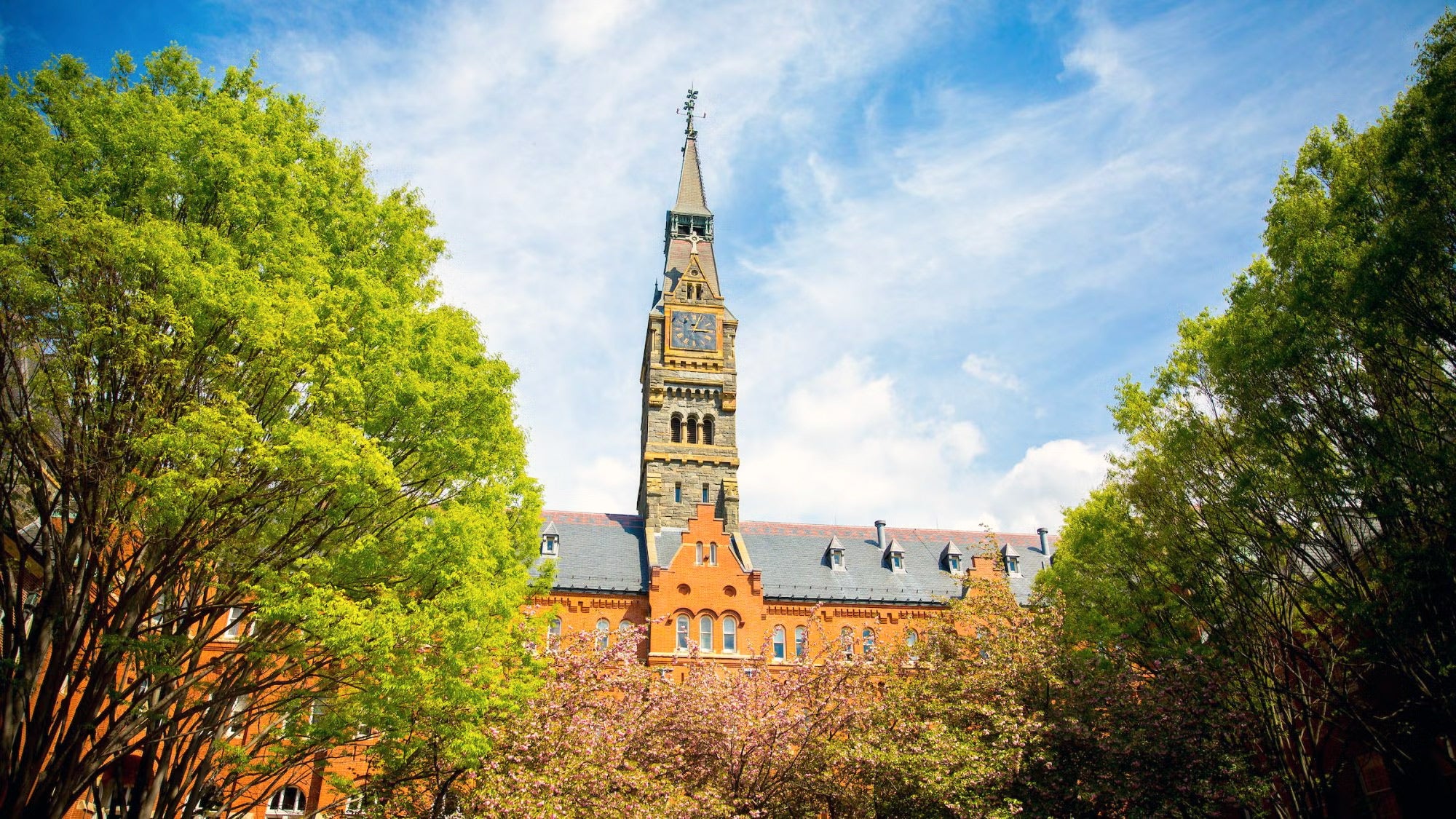 View of Healy Hall